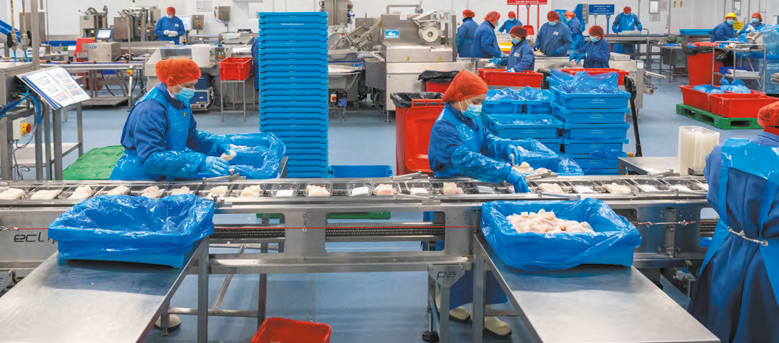 Automated food processing and packaging machinery line