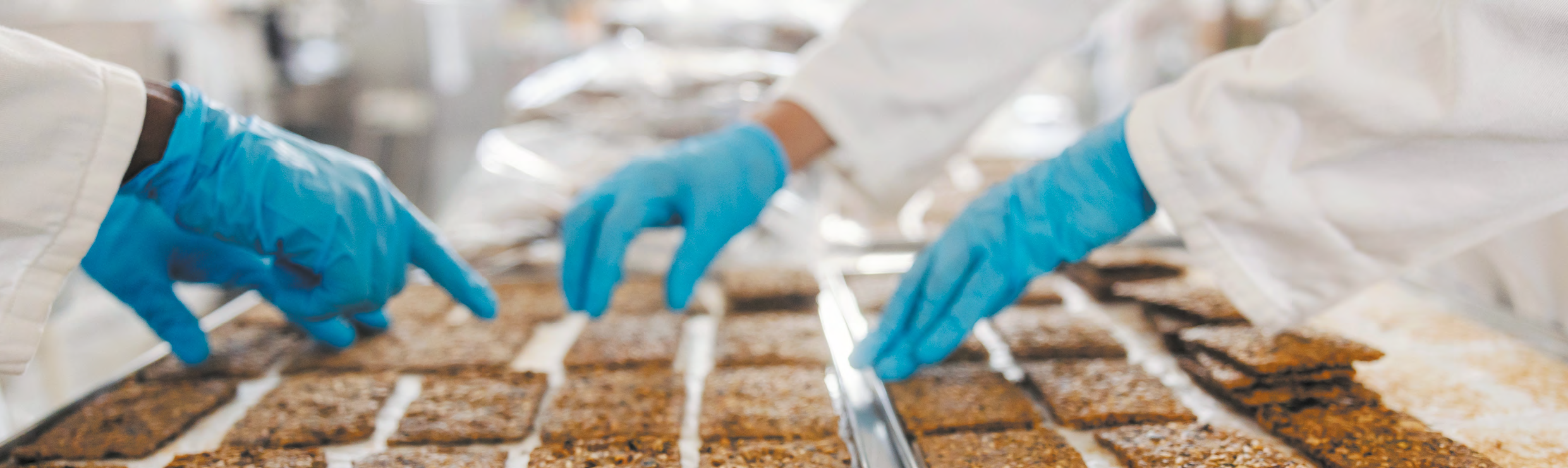 Workers in sanitary gloves and coats sorting food products on processing trays